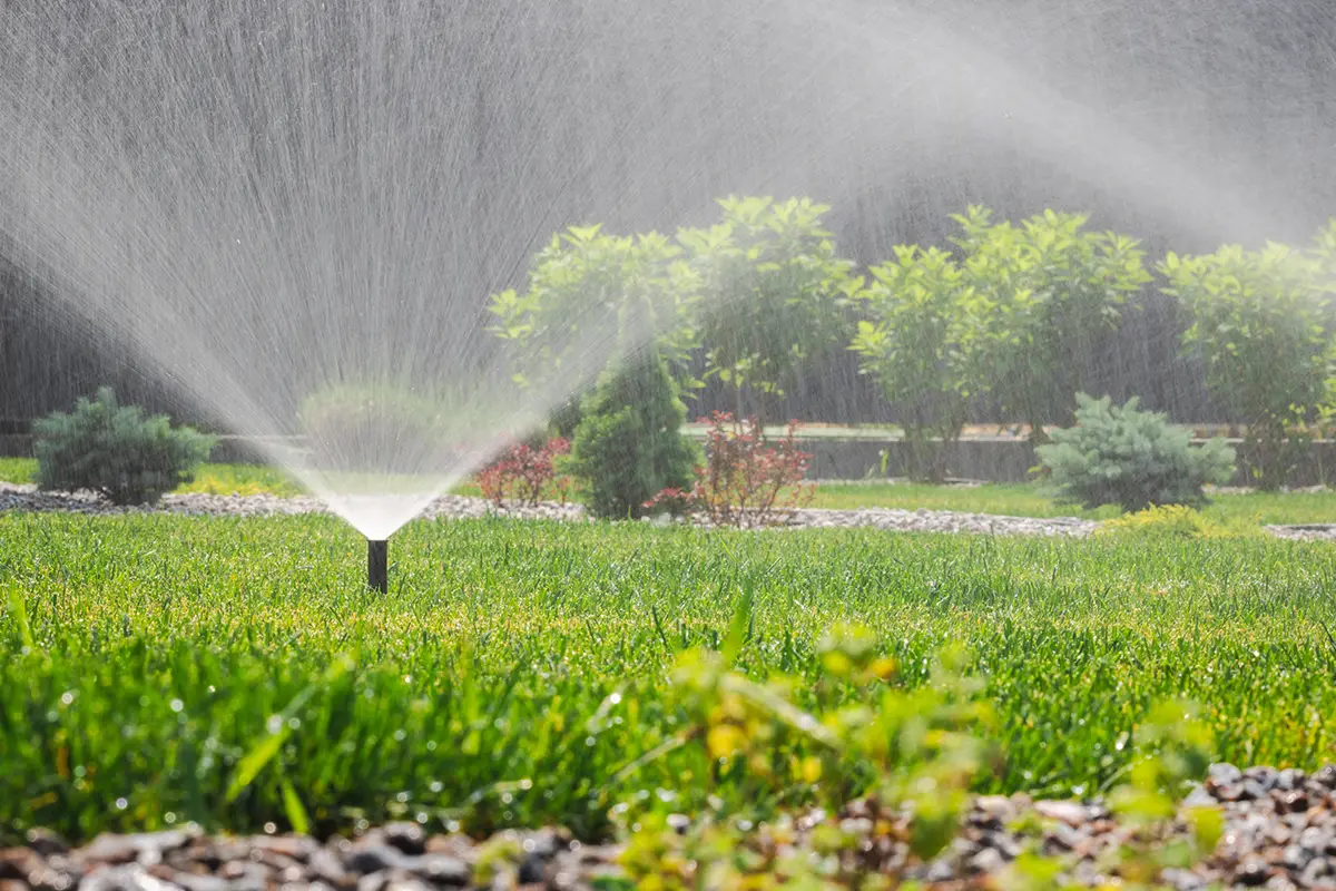 impianti per giardino 2
